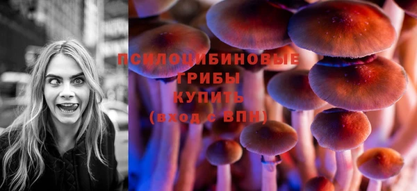 тгк Богданович