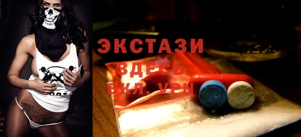 молекула духа Богородицк