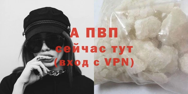 тгк Богданович