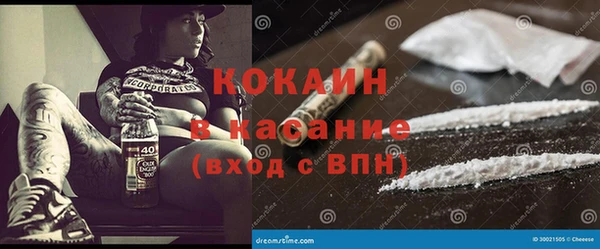 молекула духа Богородицк